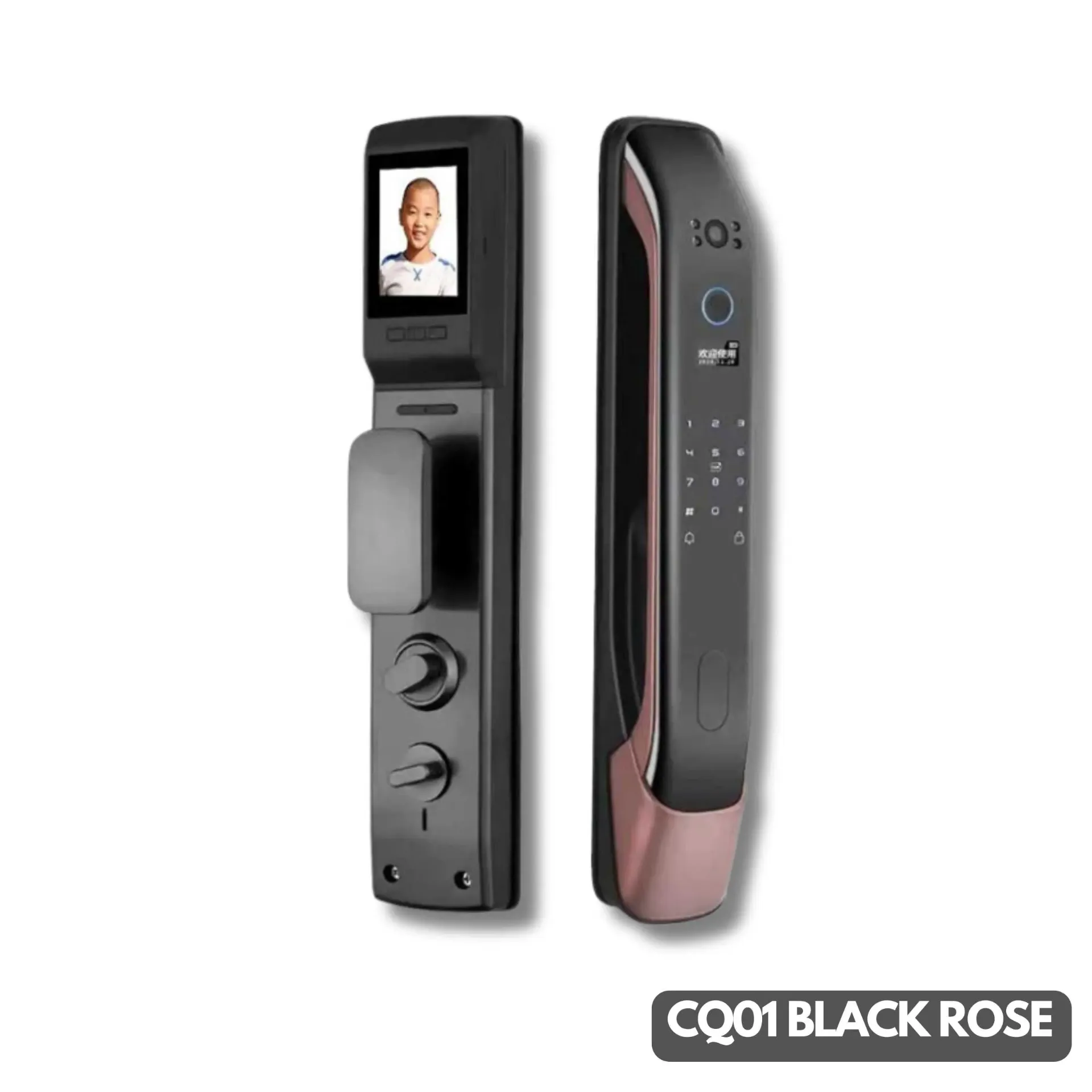 GPL0452 SAATEK CERRADURA INTELIGENTE CQ01 (BLACK ROSE)